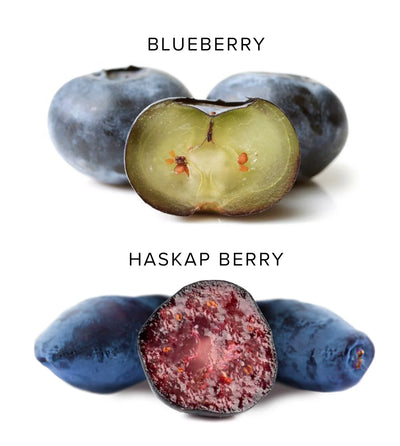 HASKAPA ORGANIC SUPERFOOD BERRY POWDER